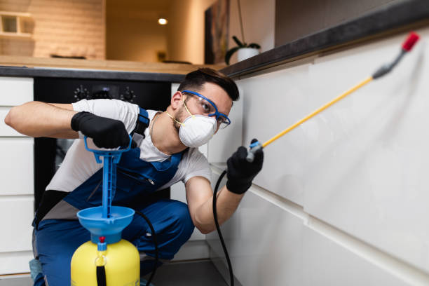 Best Affordable Pest Control Services  in Sinton, TX