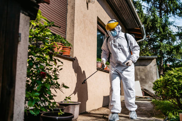 Best Residential Pest Control  in Sinton, TX