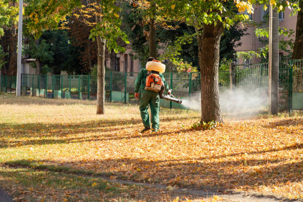 Reliable Sinton, TX Pest Control Solutions