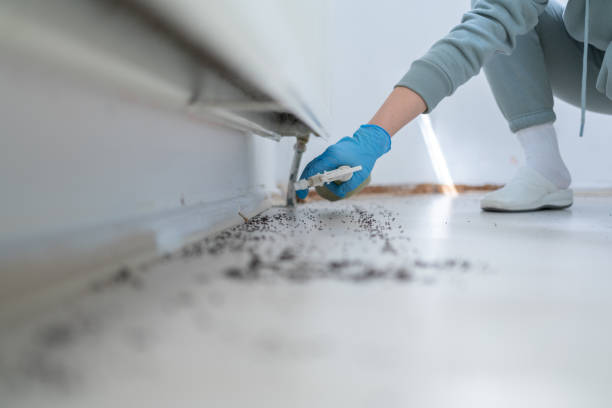 Best Pest Control Treatment  in Sinton, TX