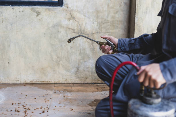 Best Rat Extermination Near Me  in Sinton, TX
