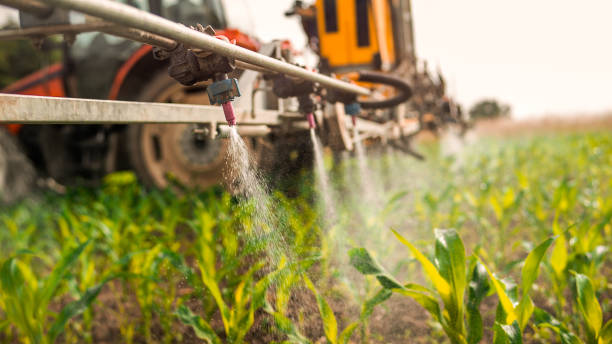 Best Mosquito Control Services  in Sinton, TX